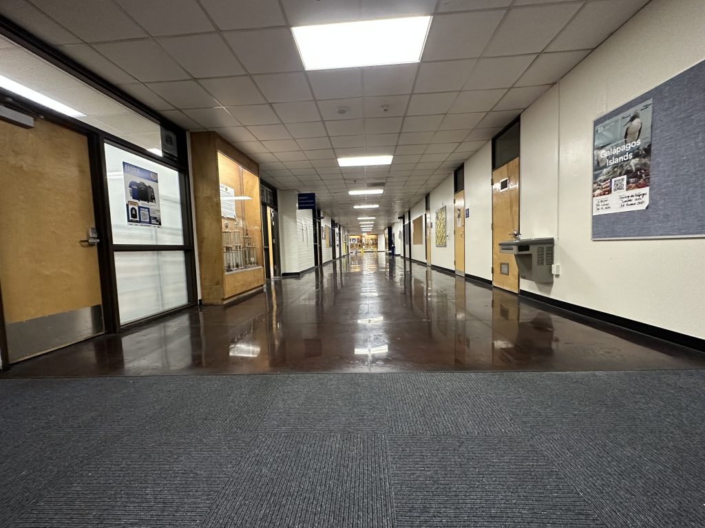Commercial Concrete Polish